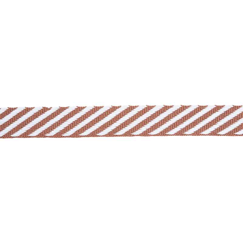 Schumacher Twill Tape Saddle Trim Sample 76102