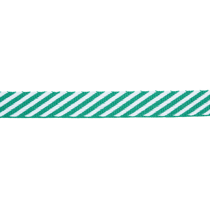 Schumacher Twill Tape Emerald Trim Sample 76106