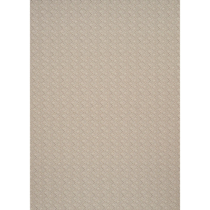 Schumacher Halcyon Almond Dust Fabric Sample 76143