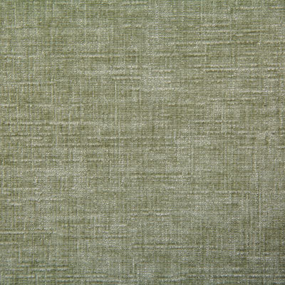 Pindler Young Aloe Fabric 7635
