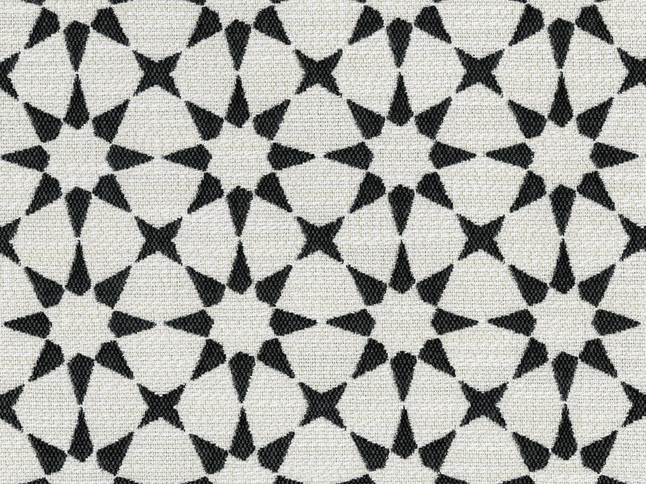 Perennials Star Power Anthracite Fabric 764-204