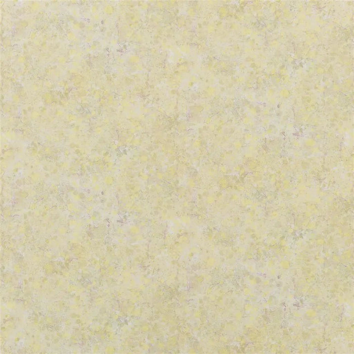 Designers Guild Lustro 5 Sample Sample FDG2688-05