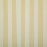 Pindler Shay Golden Fabric 7672