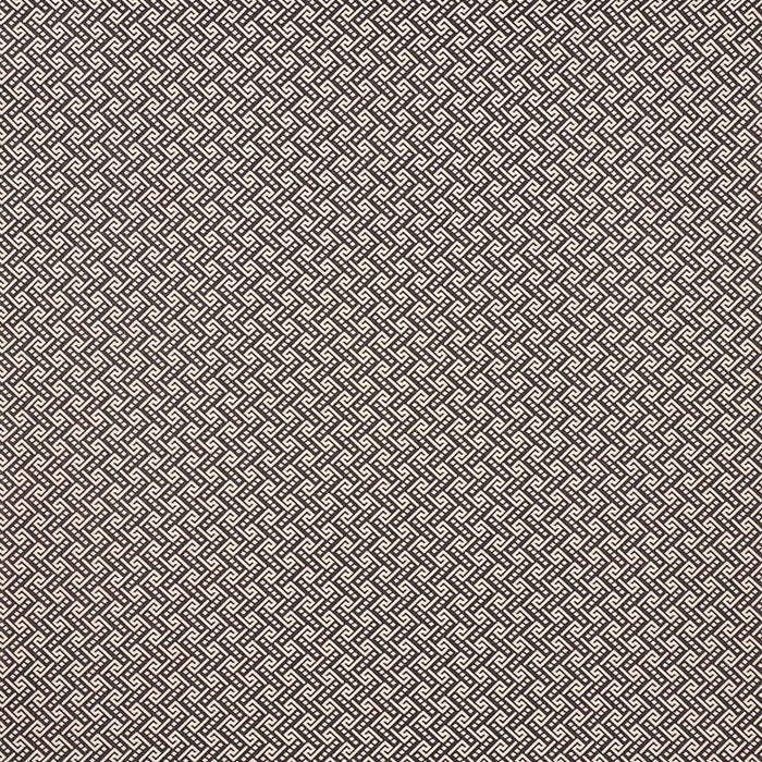 Schumacher Ionic Weave Black Fabric 77122