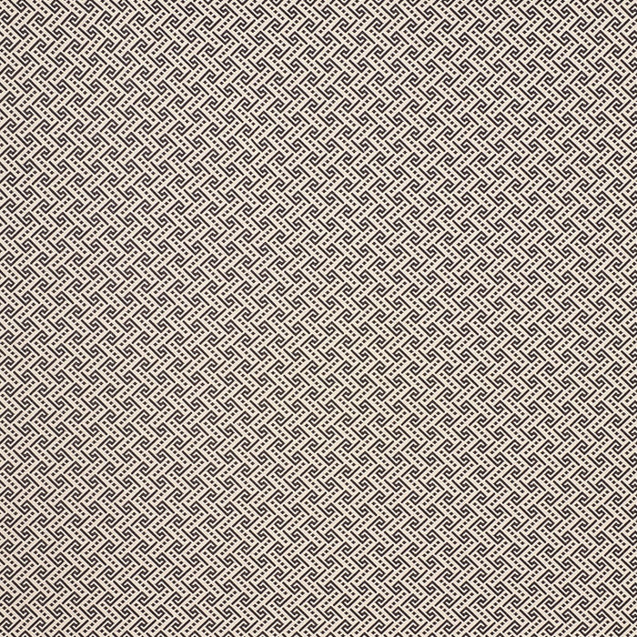 Schumacher Ionic Weave Black Fabric 77122