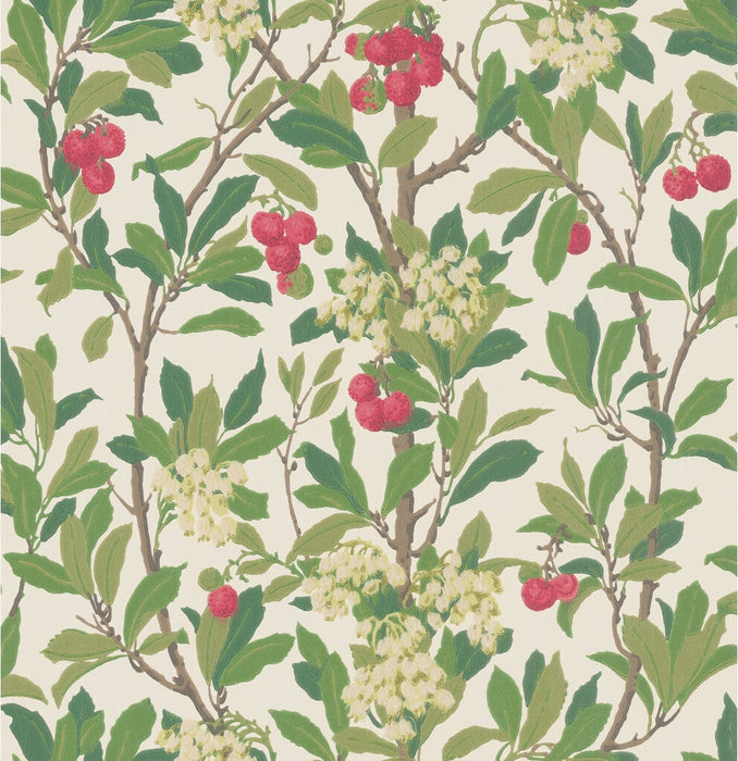 Cole & Son Strawberry Tree Scarlet & Ivory Wallpaper 100/10049.CS.0