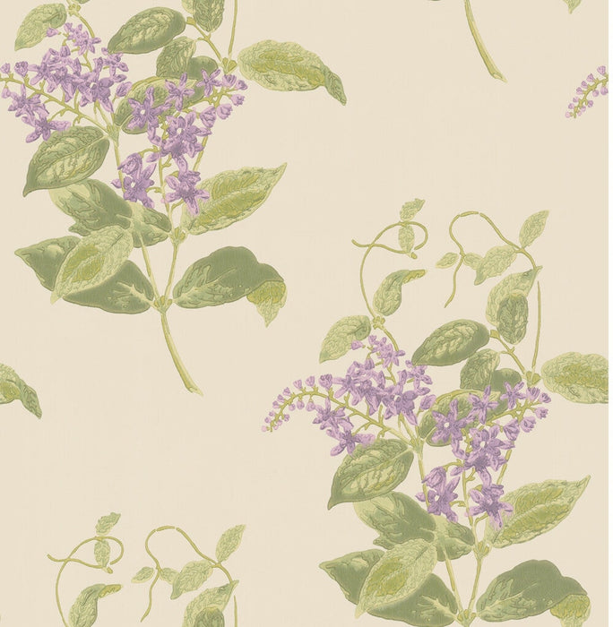 Cole & Son Madras Violet Olive & Lavender Wallpaper 100/12056.CS.0
