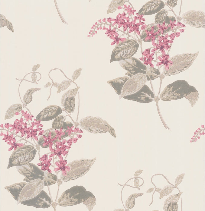 Cole & Son Madras Violet Pink Wallpaper 100/12058.CS.0