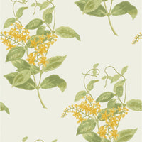 Cole & Son Madras Violet Yellow Wallpaper 100/12059.CS.0