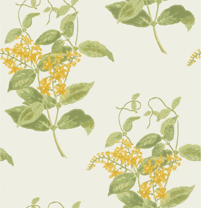 Cole & Son Madras Violet Yellow Wallpaper 100/12059.CS.0