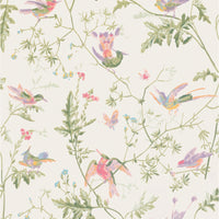 Cole & Son Hummingbirds Soft Multi-Colour Wallpaper 100/14067.CS.0