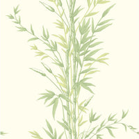 Cole & Son Bamboo Green Wallpaper 100/5023.CS.0