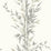Cole & Son Bamboo Charcoal Wallpaper 100/5025.CS.0