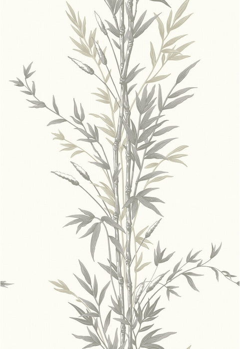 Cole & Son Bamboo Charcoal Wallpaper 100/5025.CS.0