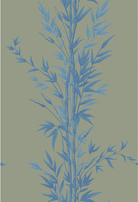 Cole & Son Bamboo Blue On Khaki Wallpaper 100/5026.CS.0