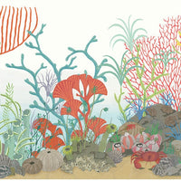 Cole & Son Archipelago Brd Multi-Colour Wallpaper 103/12054.CS.0