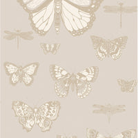Cole & Son Butterflies & Dragonflies Grey Wallpaper 103/15064.CS.0