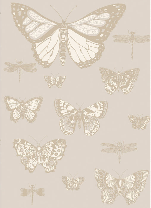 Cole & Son Butterflies & Dragonflies Grey Wallpaper 103/15064.CS.0