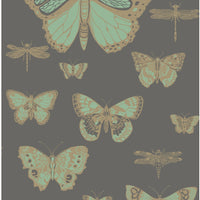 Cole & Son Butterflies & Dragonflies Green On Char Wallpaper 103/15067.CS.0