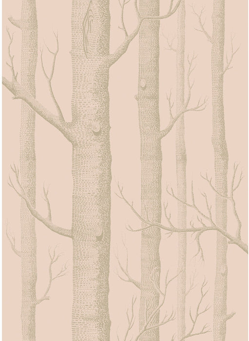 Cole & Son Woods Pink/Gilver Wallpaper 103/5024.CS.0