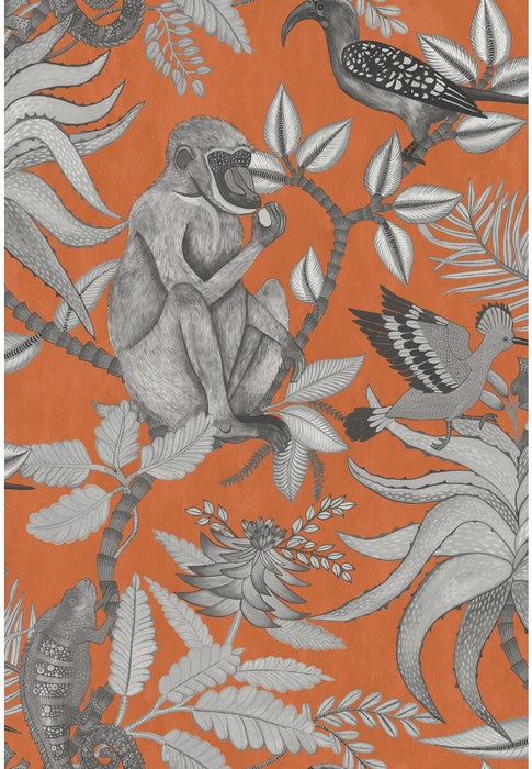 Cole & Son Savuti Orange Wallpaper 109/1001.CS.0