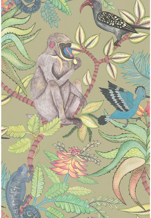 Cole & Son Savuti Khaki Multi Wallpaper 109/1005.CS.0