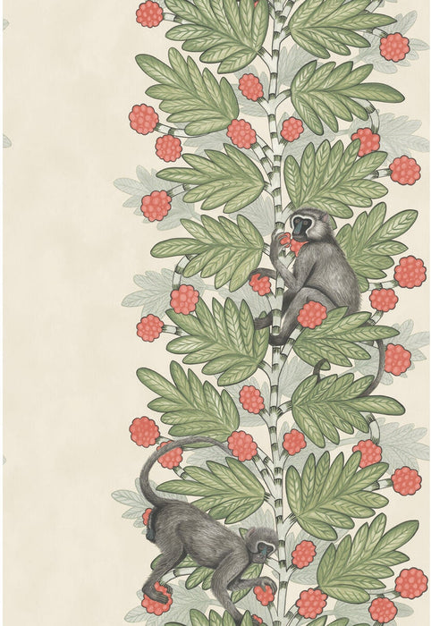 Cole & Son Acacia Green & Coral Berries Wallpaper 109/11051.CS.0