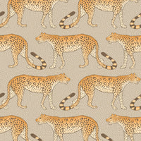 Cole & Son Leopard Walk Stone & Orange Wallpaper 109/2010.CS.0