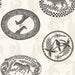 Cole & Son Matrinah Black & White Wallpaper 109/4019.CS.0