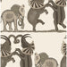 Cole & Son Safari Dance Neutral & Charcoal Wallpaper 109/8036.CS.0