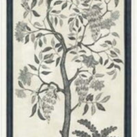 Cole & Son Trees Of Eden Eternity - Charcoal & Parchment Wallpaper 113/14041.CS.0
