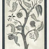 Cole & Son Trees Of Eden Paradise - Charcoal & Parchment Wallpaper 113/14042.CS.0