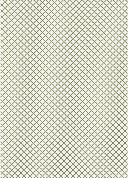 Lee Jofa Bamboo Trellis Sage Fabric Sample 2020115.3.0