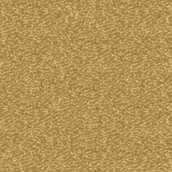 Kravet Couture Turn Heads Vanilla Fabric 33514.16.0