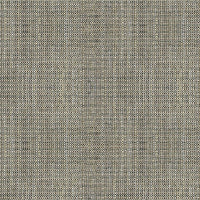 Kravet Basics Rafael Coal Fabric 33788.81.0