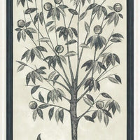 Cole & Son Trees Of Eden/Life Charcoal & Parchment Wallpaper 113/14043.CS.0