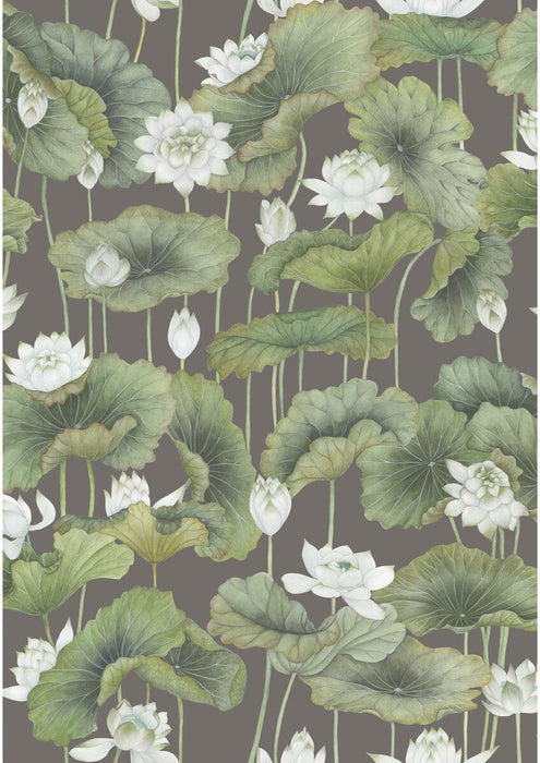 Cole & Son Lily Lotus White/Charcoal Wallpaper 126/9033.CS.0