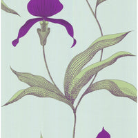 Cole & Son Orchid Turquoi Wallpaper 66/4027.CS.0