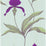 Cole & Son Orchid Turquoi Wallpaper 66/4027.CS.0