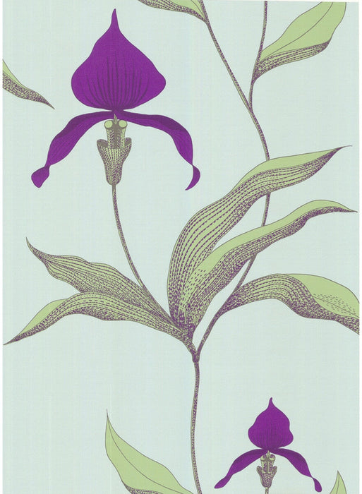 Cole & Son Orchid Turquoi Wallpaper 66/4027.CS.0