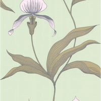 Cole & Son Orchid Pale Gr Wallpaper 66/4028.CS.0