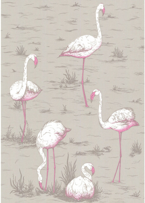 Cole & Son Flamingos Grey Wallpaper 66/6042.CS.0