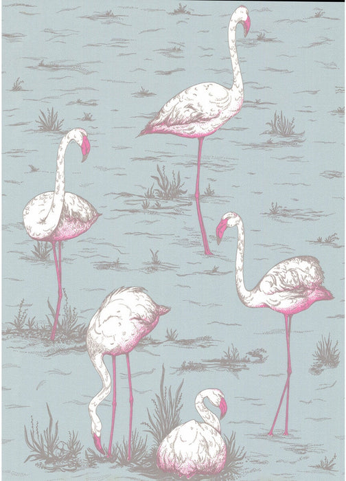 Cole & Son Flamingos Oale Bl Wallpaper 66/6044.CS.0