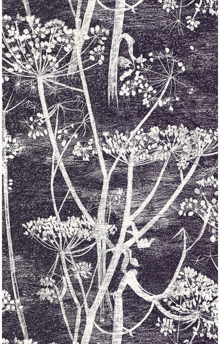 Cole & Son Cow Parsley White/Blk Wallpaper 66/7046.CS.0