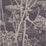 Cole & Son Cow Parsley Taupe/B Wallpaper 66/7048.CS.0