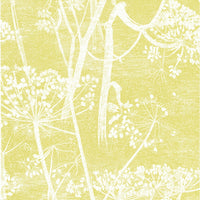 Cole & Son Cow Parsley White/Y Wallpaper 66/7051.CS.0
