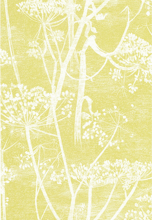 Cole & Son Cow Parsley White/Y Wallpaper 66/7051.CS.0