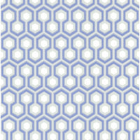 Cole & Son Hicks Hexagon Blue/Gr Wallpaper 66/8054.CS.0