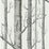 Cole & Son Woods Onyx/White Wallpaper 69/12147.CS.0