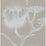 Cole & Son Lily White/Grey Wallpaper 69/3110.CS.0